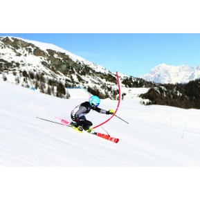 PROFESSIONAL 27 PLATINUM BRUSH GRIP BLÅ staur m/mek. ledd, 27mm rør, patent