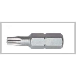 Torx-Bit TX25