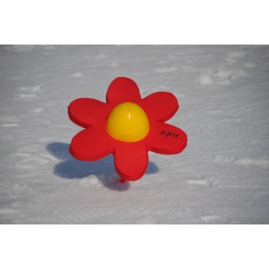 DAISY - colour white, yellow, red, blue and green