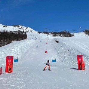 25 mm GS staur med ledd og BrushGrip